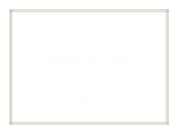 Blaue Kachel mit dem Schriftzug "Reporting" über dem Portal Systems Globe.